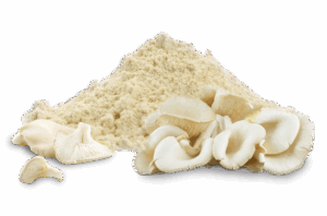 Oyster Mushroom Powder