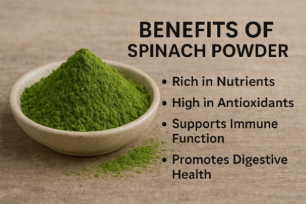 Benefits of Spinach Powder
