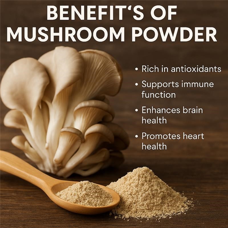 Mushroom Powder Benefits